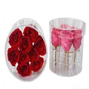 生成特定比例图片 - 2026-01-31T190447.928