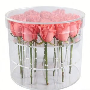 生成特定比例图片 - 2026-01-31T190450.269